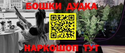 тгк Новокубанск