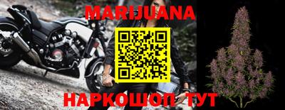 спиды Новозыбков