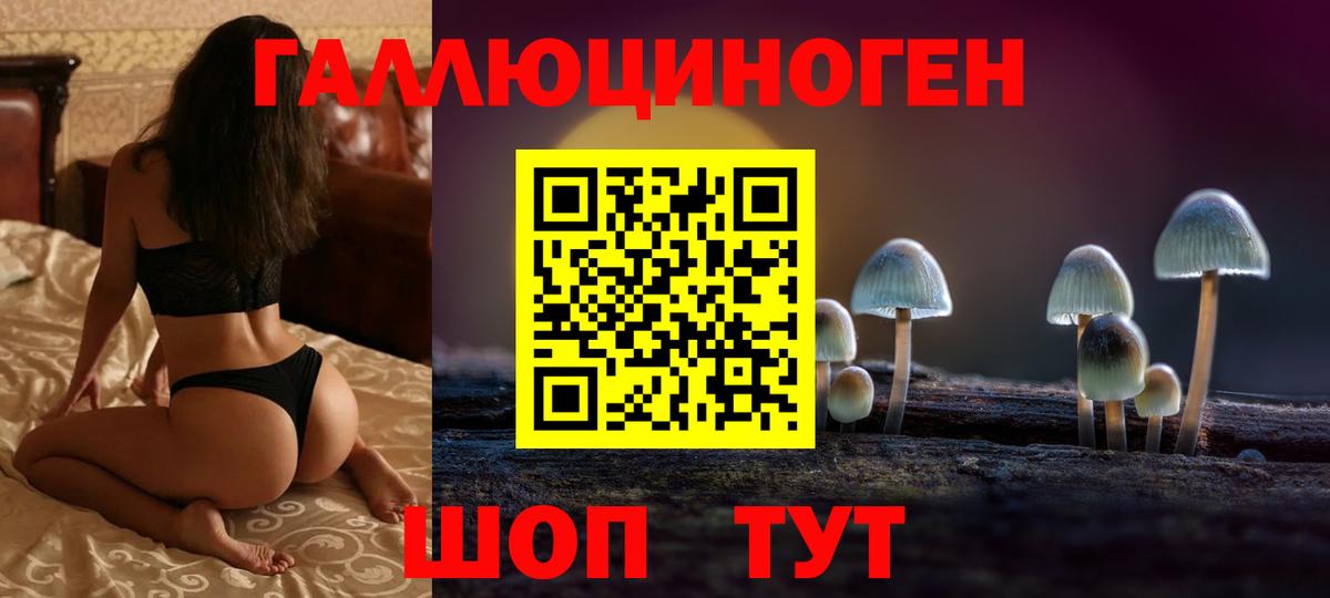 Галлюциногенные грибы Psilocybine cubensis  Псилоцибиновые грибы мухоморы  Торжок  Вход с VPN 